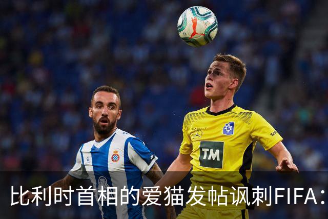 比利时首相的爱猫发帖讽刺FIFA：“红牌？”我照样继续踢！